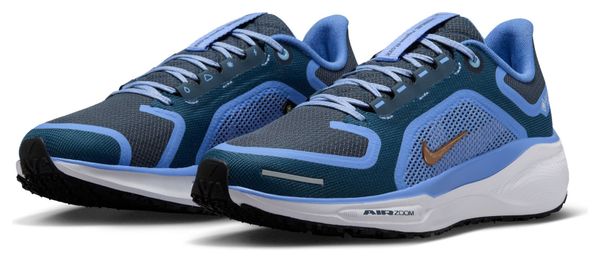 Zapatillas de running Nike Pegasus 41 GTX Azul Mujer