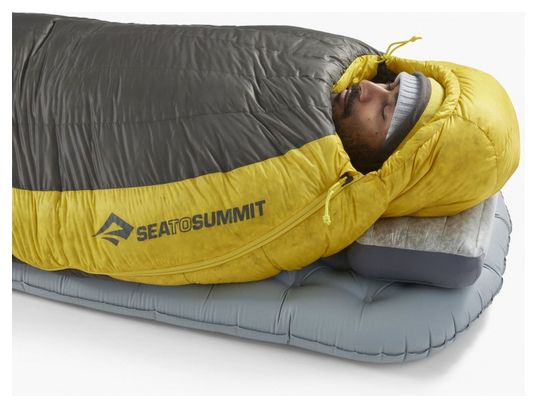 Sea To Summit Spark -9C Schlafsack Gelb/Grau