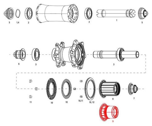 Zipp 11 / 12V XDR Freilaufkörper für Cognition NSW Hub