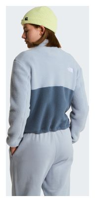 Polaire The North Face Yumiori 1/4 Zip Gris/Bleu Femme