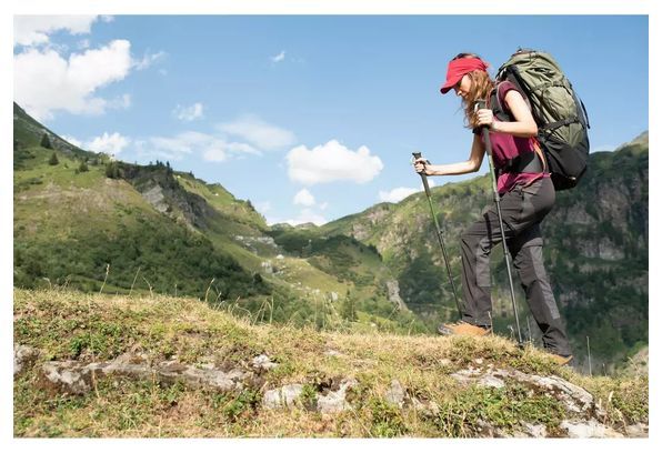 Forclaz MH500 Adjustable pole hiking mountain Green