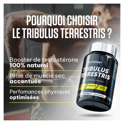 Tribulus Terrestris (90 Tabs) - Superset Nutrition - Tribulus