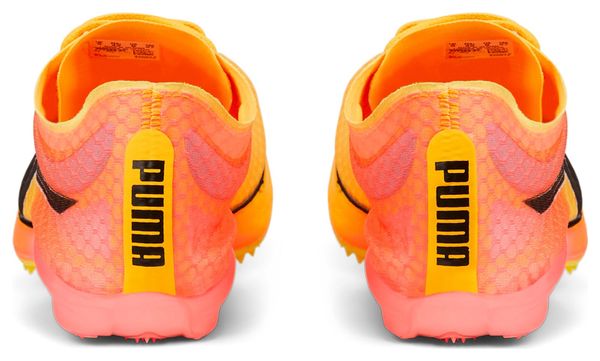 Chaussures d'Athlétisme Puma EvoSPEED Distance Nitro Elite 2 + Jaune / Rose