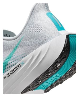 Zapatillas de Running Nike Pegasus Plus Gris Azul Hombre