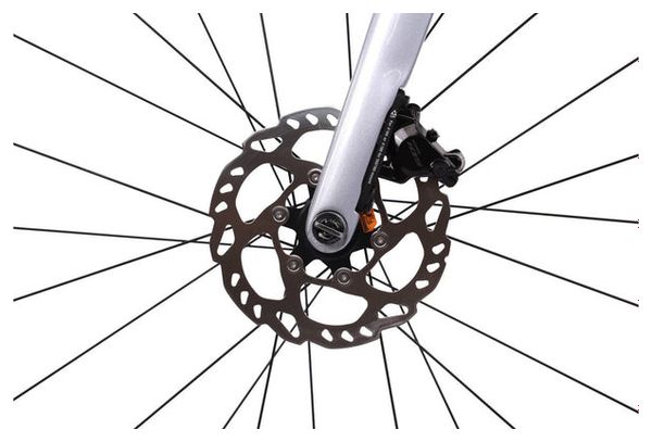 BH RS1 3.5 105 Di2