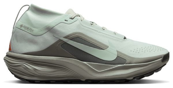 Nike ACG Pegasus Trail GTX trailschoenen, grijs/oranje, heren