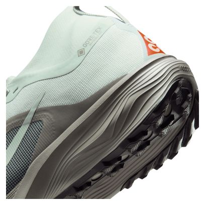 Nike ACG Pegasus Trail GTX trailschoenen, grijs/oranje, heren