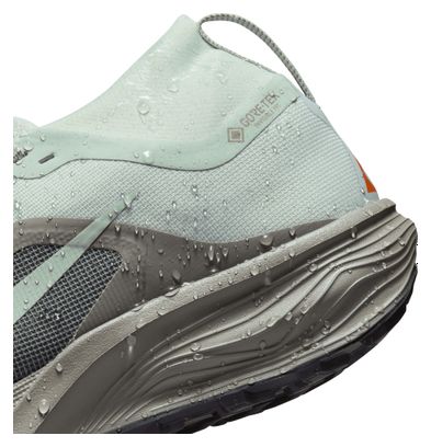 Nike ACG Pegasus Trail GTX trailschoenen, grijs/oranje, heren