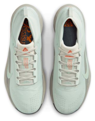 Nike ACG Pegasus Trail GTX trailschoenen, grijs/oranje, heren