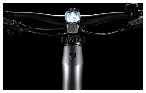 Vélo de Fitness Électrique Trek Dual Sport+ 2 Stagger LT Shimano Acera 8V 250 Wh 27.5'' Gris 2025 - Vélo d'Exposition