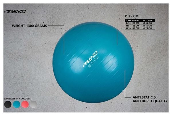 Avento Ballon de fitness/d'exercice Diamètre 75 cm Argenté