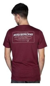 T-SHIRT STAYSTRONG AUTHENTIC BOX BURGUNDY