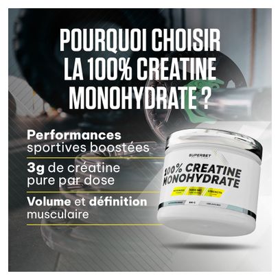 100% Creatine Monohydrate (300g) - Superset Nutrition - Créatines