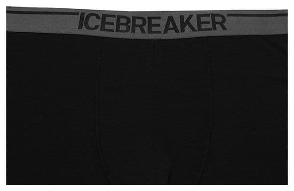 Slip Icebreaker anatomica briefs