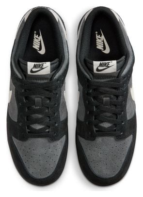 Chaussures Sportswear Nike Dunk Low Retro SE Noir/Gris/Beige Homme