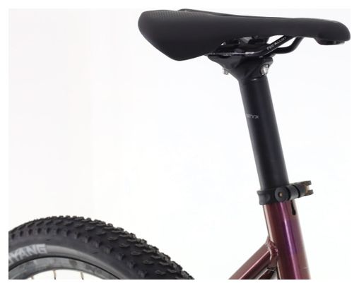 Produit reconditionné · Bulls Cross Evo / Vélo VTT électrique | Très bon état