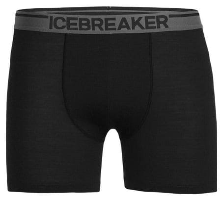 Boxer Icebreaker anatomica