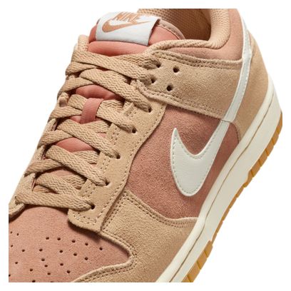 Chaussures Sportswear Nike Dunk Low Retro SE Rose/Beige Homme