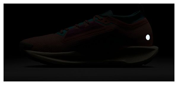 Nike Pegasus Trail 5 GTX Roze/Blauw Heren Trailschoenen