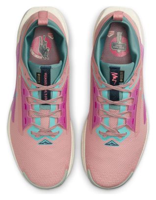 Chaussures Trail Nike Pegasus Trail 5 GTX Rose/Bleu Homme