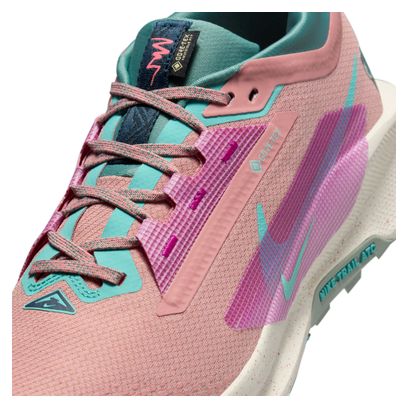 Nike Pegasus Trail 5 GTX Trailrunning-Schuh Pink/Blau Herren