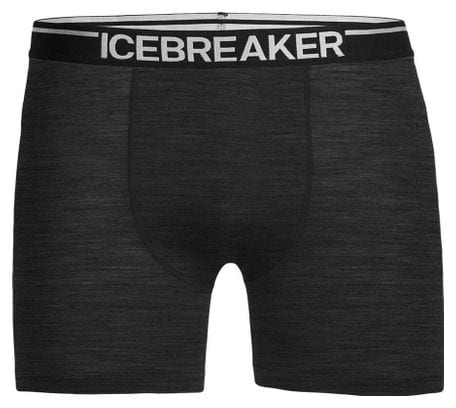 Boxer Icebreaker anatomica