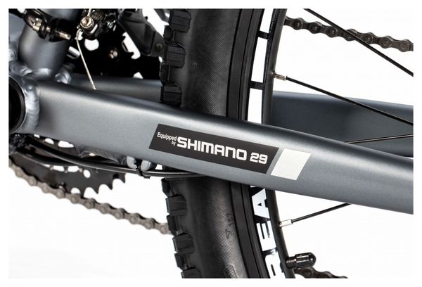 Semi Rigid Electric MTB Moma Bikes E-MTB 29 &#39;&#39; Shimano Altus 8V Gray