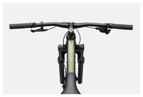 Cannondale Habit HT 2 MicroShift Advent X Pro 10V 29'' Matt Green Semi-Rigid Mountain Bike