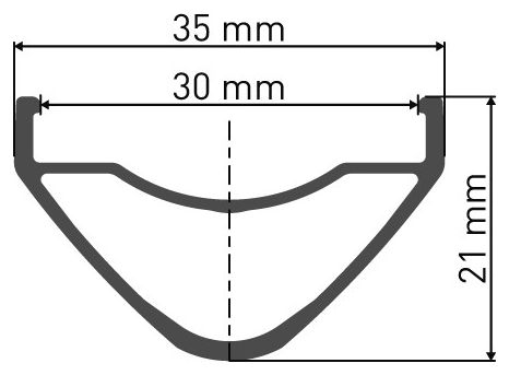 Jante DT Swiss XM 481 Disc 29'' Noir