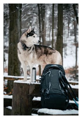 Sac à dos Husky Rony new Sac à dos ultraléger 50 litres-Noir