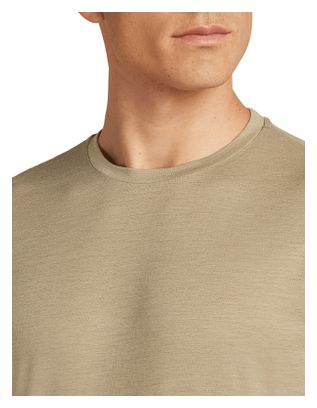T-shirt Icebreaker Merino 150 Tech Lite Marron Homme