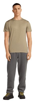 T-shirt Icebreaker Merino 150 Tech Lite Marron Homme