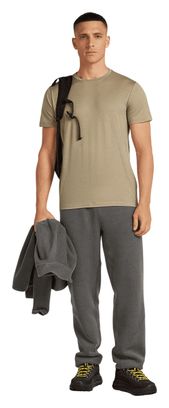 T-shirt Icebreaker Merino 150 Tech Lite Marron Homme