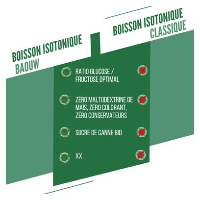 Baouw Energiegetränk Minze-Melisse  585 g