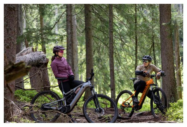 Gereviseerd product - Rockrider E-Expl 500 S Microshift Acolyte 8V 500Wh 29'' Grijs 2024 Volledig geveerde elektrische mountainbike
