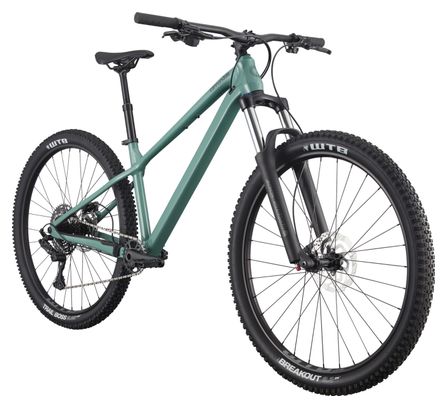 Cannondale Habit HT 3 MicroShift Advent X 10V 29'' Jade Green Semi-Rigid Mountain Bike
