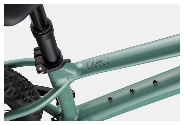 Cannondale Habit HT 3 MicroShift Advent X 10V 29'' Jade Green Semi-Rigid Mountain Bike