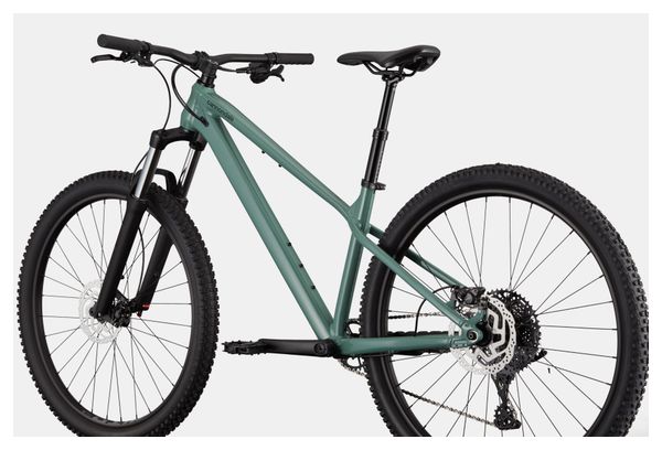 Cannondale Habit HT 3 MicroShift Advent X 10V 29'' Jade Green Semi-Rigid Mountainbike