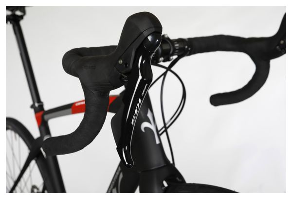 Wilier Triestina Cento1NDR Road Bike Shimano 105 11S 700 mm Black Red 2023