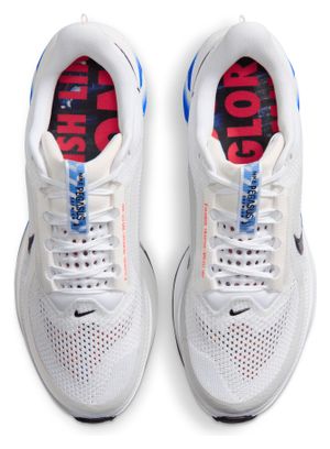 Scarpe da corsa Nike Pegasus Premium Bianco/Blu da uomo