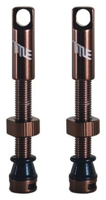 Valves Tubeless Title Bronze