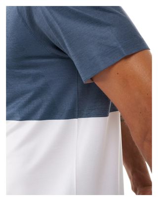 Compressport Performance Men's Blue/White Running T-Shirt
