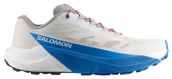 Salomon Pulsar Trailrunning Schuh Grau/Blau Mann