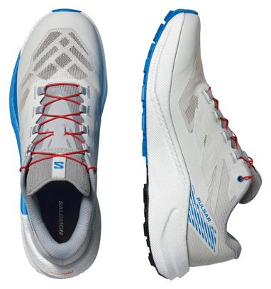 Salomon Pulsar Trailrunning Schuh Grau/Blau Mann