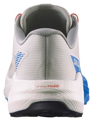 Salomon Pulsar Trailrunning Schuh Grau/Blau Mann