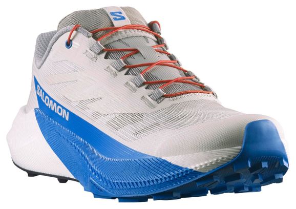 Salomon Pulsar Trailrunning Schuh Grau/Blau Mann