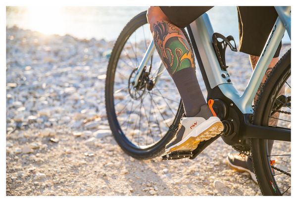 Scarpe Northwave Freeland MTB Grigio scuro/Beige