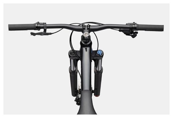 Cannondale Habit HT 3 MicroShift Advent X 10V 29'' Mountain Bike semirigida Nero
