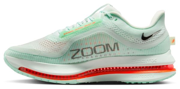Nike Pegasus Premium Laufschuhe Grün Herren