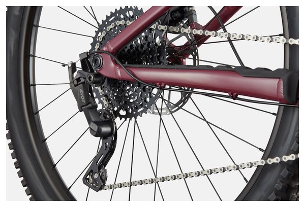 Cannondale Habit HT 2 MicroShift Advent X Pro 10V 29'' Dark Red Semi-Rigid Mountain Bike